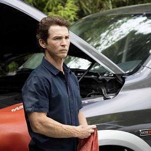 Foto Instinto Animal