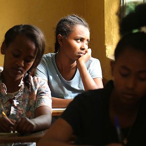 Foto El árbol de Higo