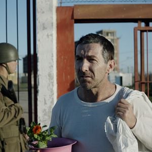 Foto La noche de 12 años