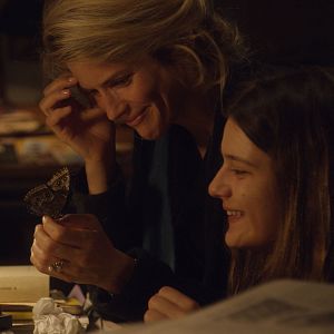 Foto La última locura de la señora Darling