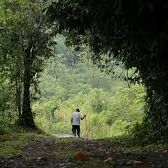 Foto Nosotros las piedras
