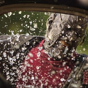 Foto El regreso del Demonio