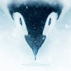 Foto La marcha de los pingüinos 2