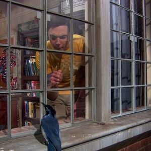 Foto The Big Bang Theory