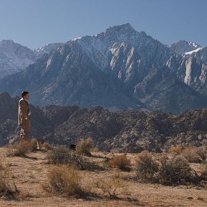 Foto The great darkened days