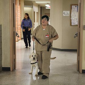 Foto Orange is the new Black