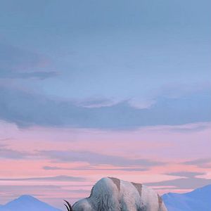 Foto Avatar: La leyenda de Aang (2024)