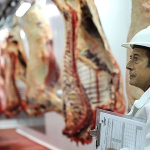 Foto Guillermo Francella