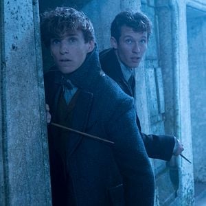 Foto Animales fantásticos: Los crímenes de Grindelwald