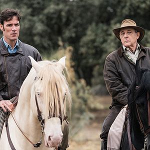 Foto El Árbol de La Sangre