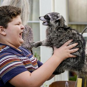 Foto El joven Sheldon