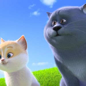 Las aventuras de Tommy - Película 2018.mx