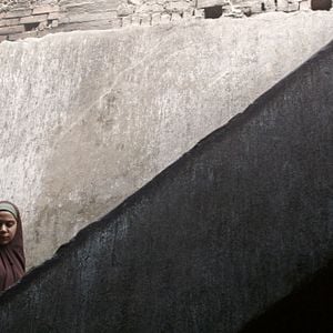 Foto Poisonous Roses