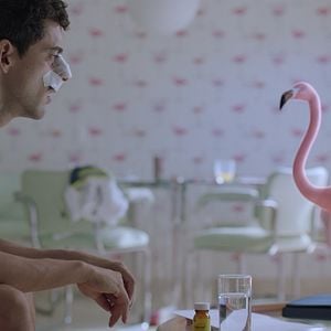 Foto Tiempo Compartido