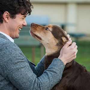 Foto Jonah Hauer-King