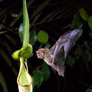 Foto Nuestro Planeta