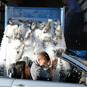 Foto Seann William Scott