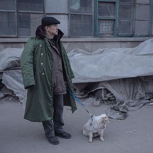 Foto Un elefante sentado y quieto