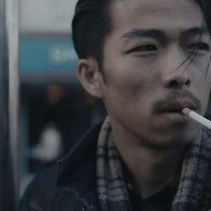 Foto Un elefante sentado y quieto