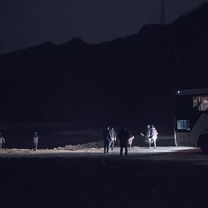 Foto Un elefante sentado y quieto