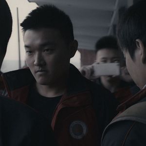 Foto Un elefante sentado y quieto