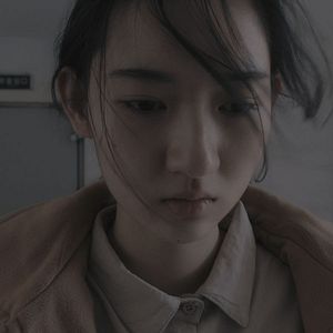 Foto Un elefante sentado y quieto