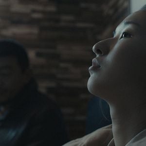 Foto Un elefante sentado y quieto