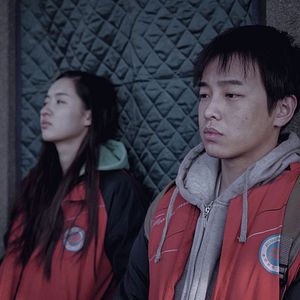 Foto Un elefante sentado y quieto