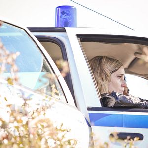 Foto The Miracle of the Sargasso Sea