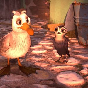 Foto Pajaritos a volar