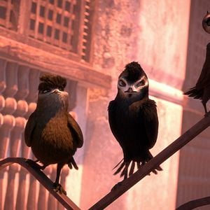 Foto Pajaritos a volar