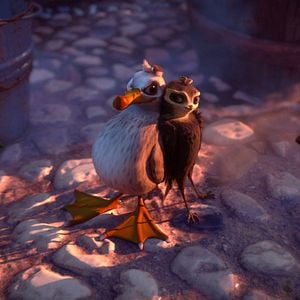 Foto Pajaritos a volar