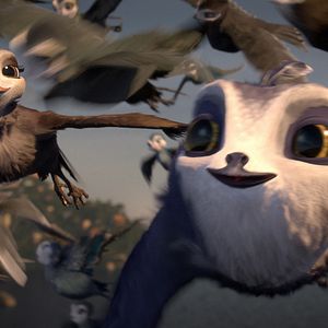 Foto Pajaritos a volar