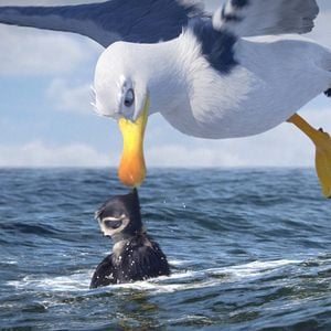 Foto Pajaritos a volar