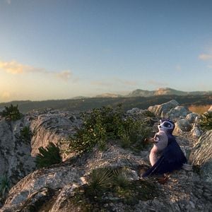 Foto Pajaritos a volar