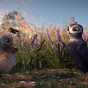 Foto Pajaritos a volar