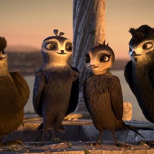 Foto Pajaritos a volar