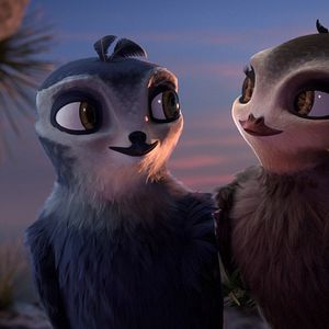 Foto Pajaritos a volar