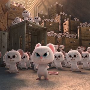 Foto Locos por las nueces 2