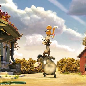 Foto Agente 00 - gato