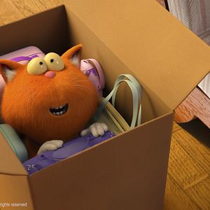 Foto Agente 00 - gato