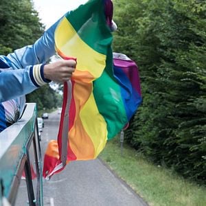 Foto Los camarones de diamantina