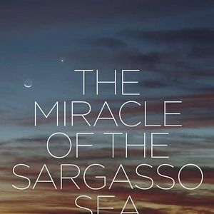 Foto The Miracle of the Sargasso Sea