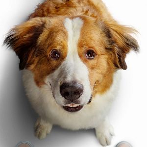 Foto La razón de estar contigo: Un nuevo viaje