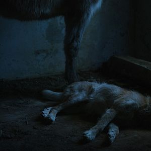 Foto I Was at Home, But