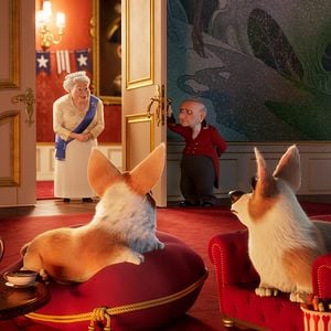 Foto Corgi: Un perro real