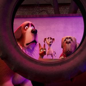 Foto Corgi: Un perro real