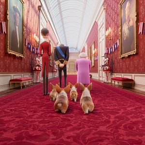 Foto Corgi: Un perro real