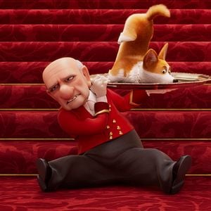 Foto Corgi: Un perro real