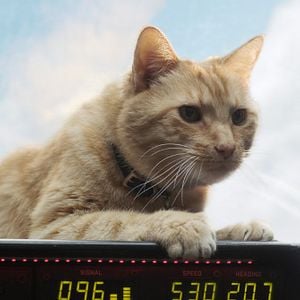 Foto Capitana Marvel